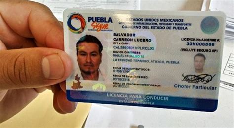 licencias en puebla|Licencia de conducir Puebla 2024: requisitos, costos, multas y。